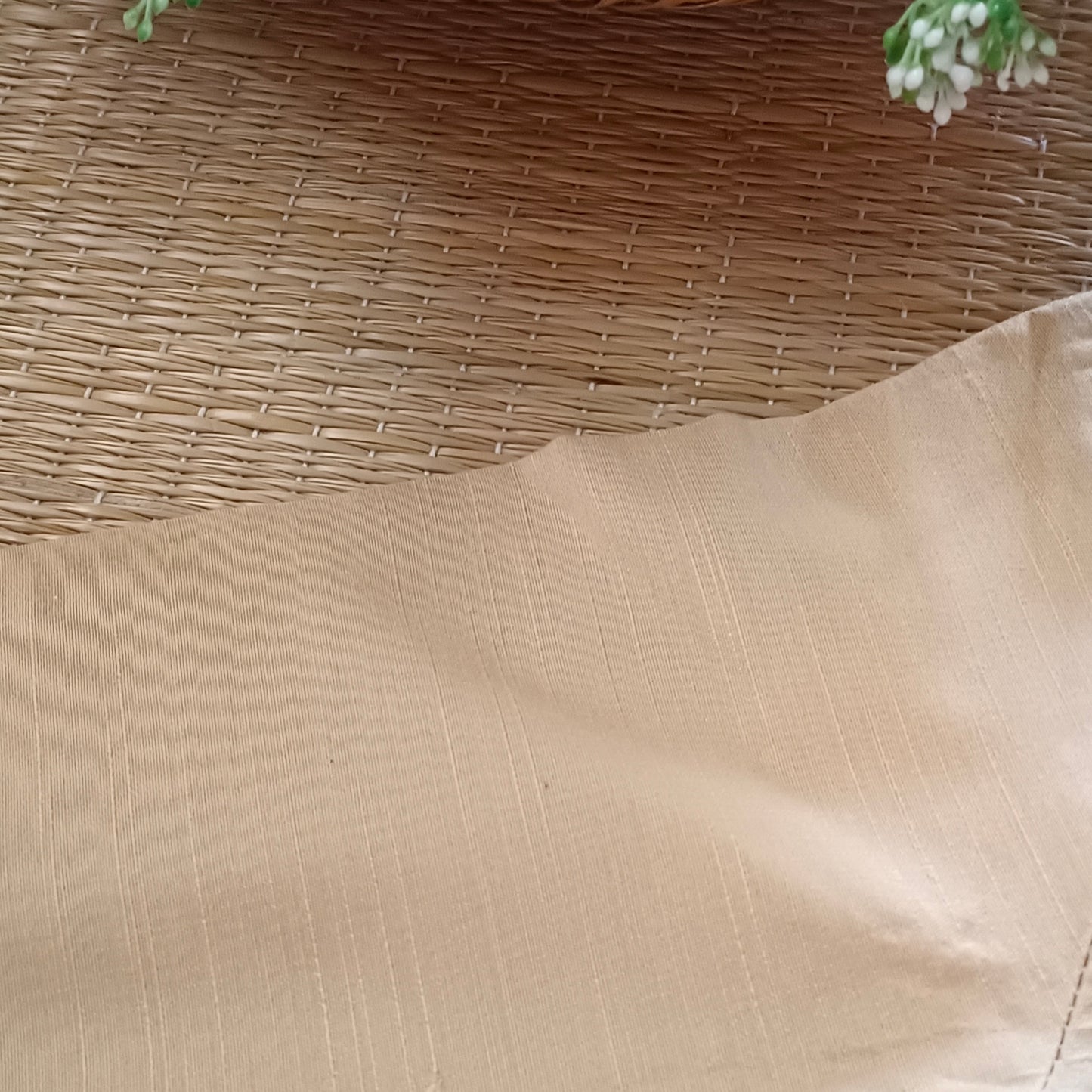 Classic beige plain flexi fit blouse
